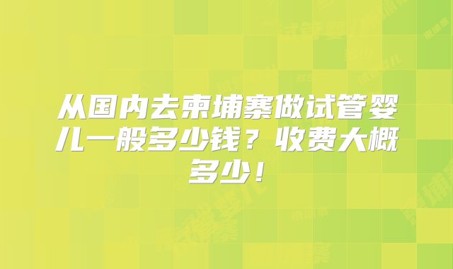 从国内去柬埔寨做试管婴儿一般多少钱？收费大概多少！