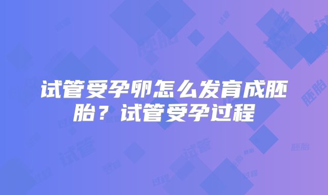 试管受孕卵怎么发育成胚胎？试管受孕过程