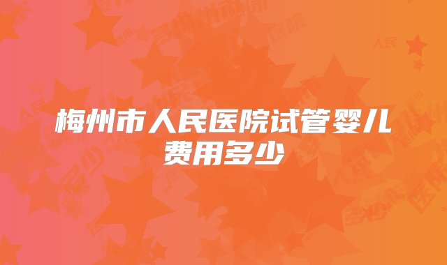 梅州市人民医院试管婴儿费用多少