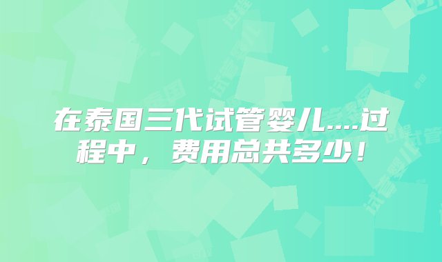 在泰国三代试管婴儿....过程中，费用总共多少！