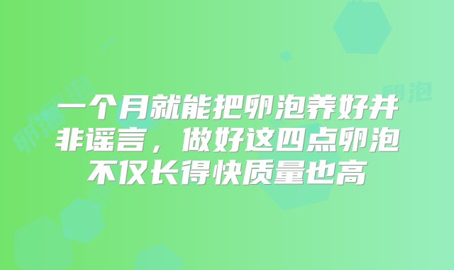 一个月就能把卵泡养好并非谣言，做好这四点卵泡不仅长得快质量也高