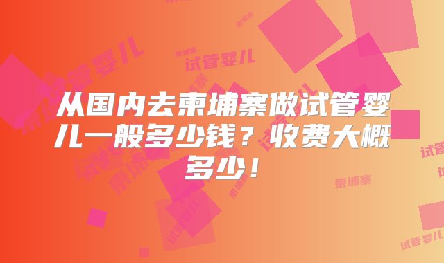 从国内去柬埔寨做试管婴儿一般多少钱？收费大概多少！