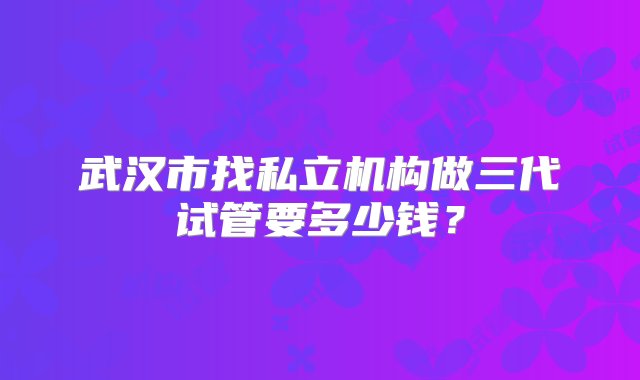 武汉市找私立机构做三代试管要多少钱？