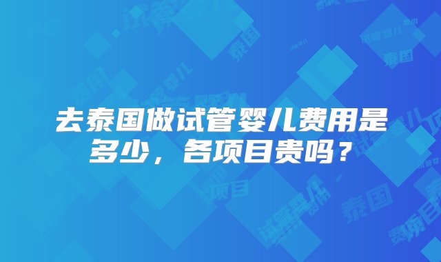 去泰国做试管婴儿费用是多少，各项目贵吗？