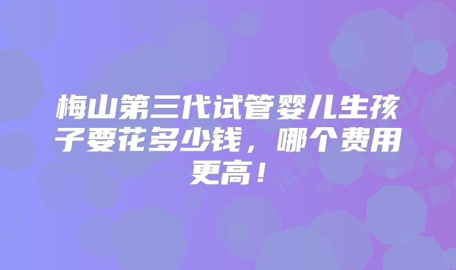 梅山第三代试管婴儿生孩子要花多少钱，哪个费用更高！