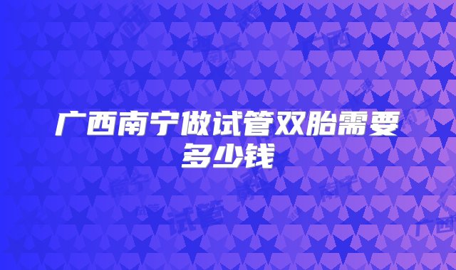 广西南宁做试管双胎需要多少钱