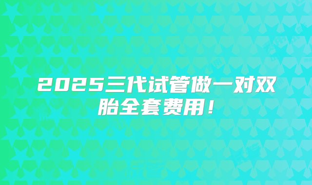 2025三代试管做一对双胎全套费用！