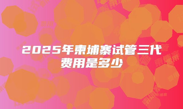 2025年柬埔寨试管三代费用是多少