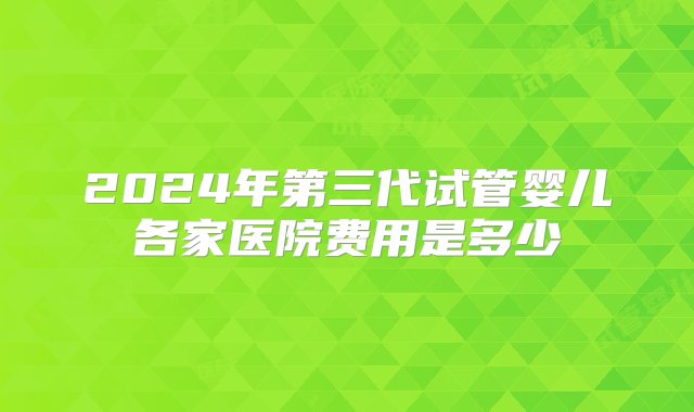 2024年第三代试管婴儿各家医院费用是多少