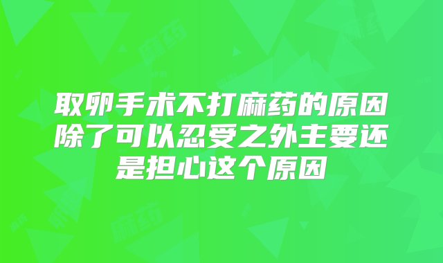 取卵手术不打麻药的原因除了可以忍受之外主要还是担心这个原因