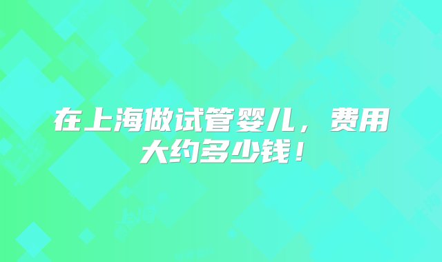 在上海做试管婴儿，费用大约多少钱！