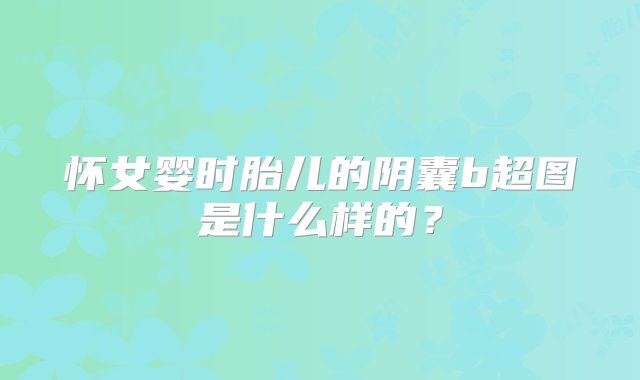 怀女婴时胎儿的阴囊b超图是什么样的？