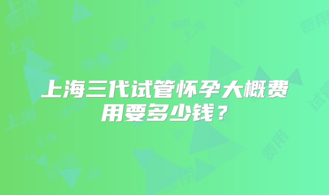 上海三代试管怀孕大概费用要多少钱？