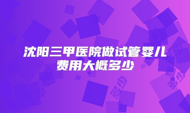 沈阳三甲医院做试管婴儿费用大概多少