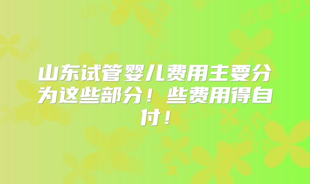 山东试管婴儿费用主要分为这些部分！些费用得自付！