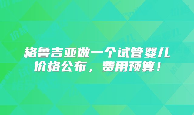 格鲁吉亚做一个试管婴儿价格公布，费用预算！