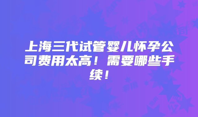 上海三代试管婴儿怀孕公司费用太高！需要哪些手续！